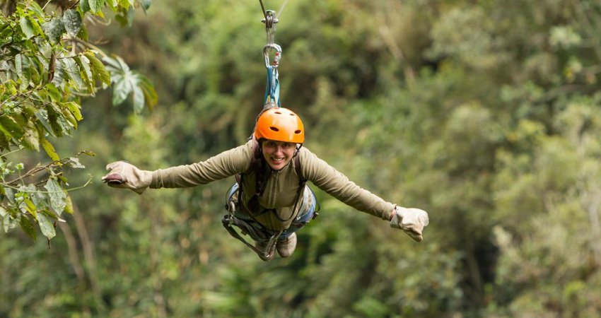 Flight of Gibbon at Angkor Wat